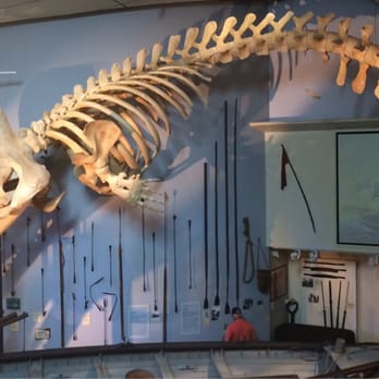 Whaling Museum - Whale's carcass - Museums Near Me - Nantucket, Massachusetts