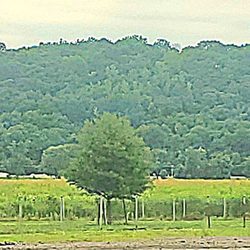 Platte Landing Park