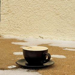 Quest Coffee