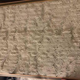 The air filter that was in when we moved in... The air filter that was in when we moved in...