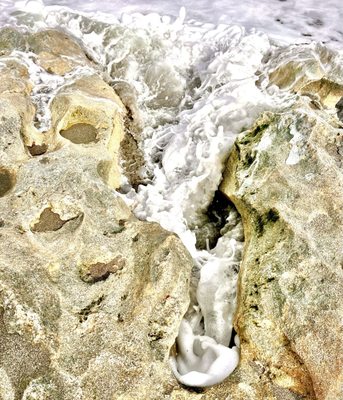 Blowing Rocks Preserve by null