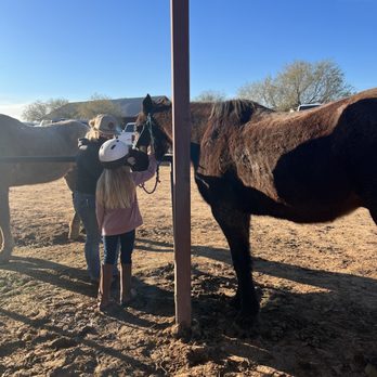 KOLI Equestrian Center - Venues & Event Spaces Near Me - Phoenix, Arizona