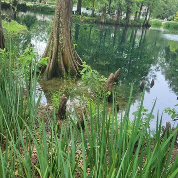 The Myrtles - Bed & Breakfast Near Me - Saint Francisville, Louisiana