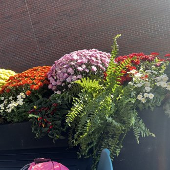 Luna of Ada - Patio flowers - Tacos Near Me - Ada, Michigan Luna of Ada - Patio flowers - Tacos Near Me - Ada, Michigan