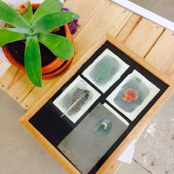 The Analogue Laboratory - cyanotypes set in their frames ready to develop - Local Services Near Me - Adelaide, SA
