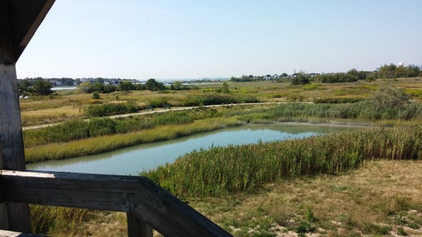 Belle Isle Marsh Reservation by null