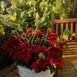 Holiday decor
