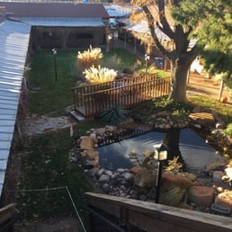 Cactus Alley Local Services 2610 Salem Ave Lubbock Tx Phone Number Yelp