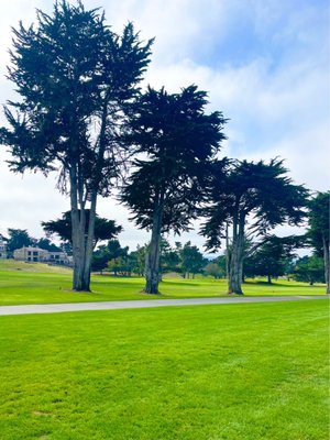 Bayonet & Black Horse by null