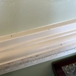 Ants.