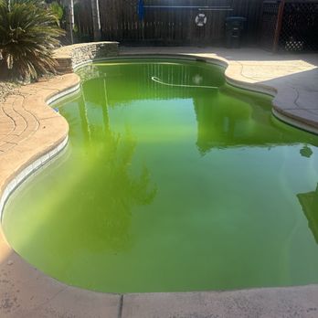 Vintage Pool Service & More - Pool Cleaners Near Me - Manteca, California Vintage Pool Service & More - Pool Cleaners Near Me - Manteca, California