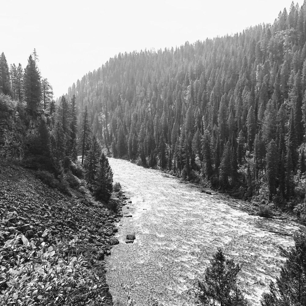 Mesa Falls - Local Flavor Near Me - Saint Anthony, Idaho