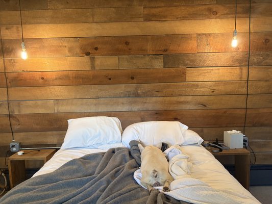 The Graham & Co. by null