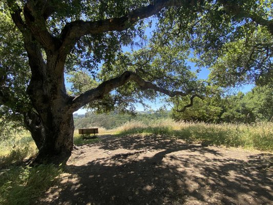 Westwood Hills Park by null