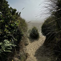 Beachside State Recreation Site - Foggy morning beach walks are my very favorite.