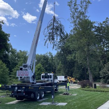 Mitsdarfer Brothers Tree Service - Snow Removal Near Me - Newark, Delaware Mitsdarfer Brothers Tree Service - Snow Removal Near Me - Newark, Delaware