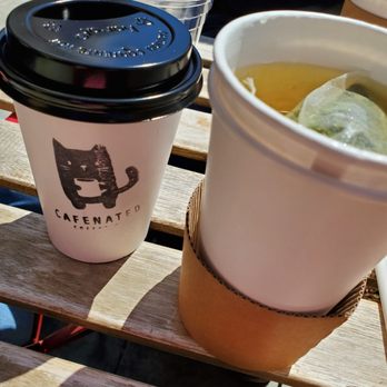 Cafenated Coffee Company - Good Sencha hot tea... but for $5 they at least should include a cat picture on the cup! - Coffee & Tea Near Me - Berkeley, California