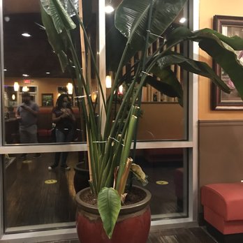 Miss Saigon - Vietnamese Near Me - Tucson, Arizona Miss Saigon - Vietnamese Near Me - Tucson, Arizona