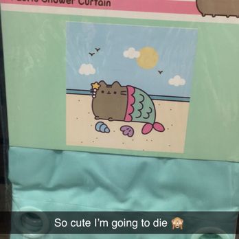 BoxLunch - Their Pusheen line - Accessories Near Me - Birmingham, Alabama