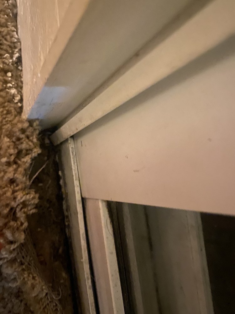 PEPPERTREE PLACE APARTMENTS 55 Photos & 20 Reviews 7911 Arlington