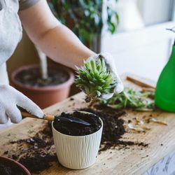 JK Enterprise Landscape Supply - Garden Projects