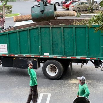 Real Tree Trimming and Landscaping - two men loading a tree onto a truck - Landscaping Near Me Real Tree Trimming and Landscaping - two men loading a tree onto a truck - Landscaping Near Me