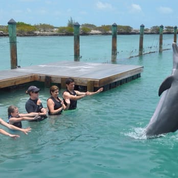 Hawks Cay Resort - Dolphin experience - Resorts Near Me - Duck Key, Florida Hawks Cay Resort - Dolphin experience - Resorts Near Me - Duck Key, Florida