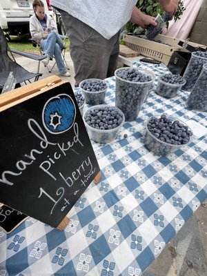 The Vineyard Farmer's Market by null