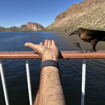 Dolly Steamboat - Boat Charters Near Me - Apache Junction, Arizona