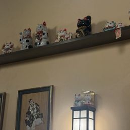 Lucy cats everywhere Lucy cats everywhere