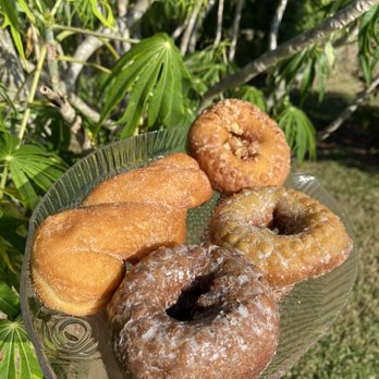 Tasty-O Donuts - a hand holding a plate of donuts - Donuts Near Me - Vero Beach, Florida Tasty-O Donuts - a hand holding a plate of donuts - Donuts Near Me - Vero Beach, Florida
