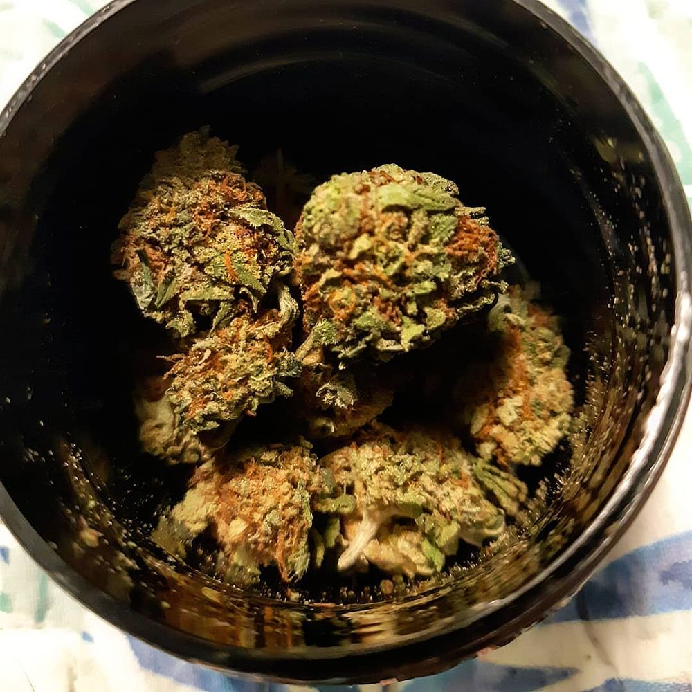 PACIFIC BEACH MARIJUANA DELIVERY 4655 Cass St, San Diego, California Cannabis Dispensaries