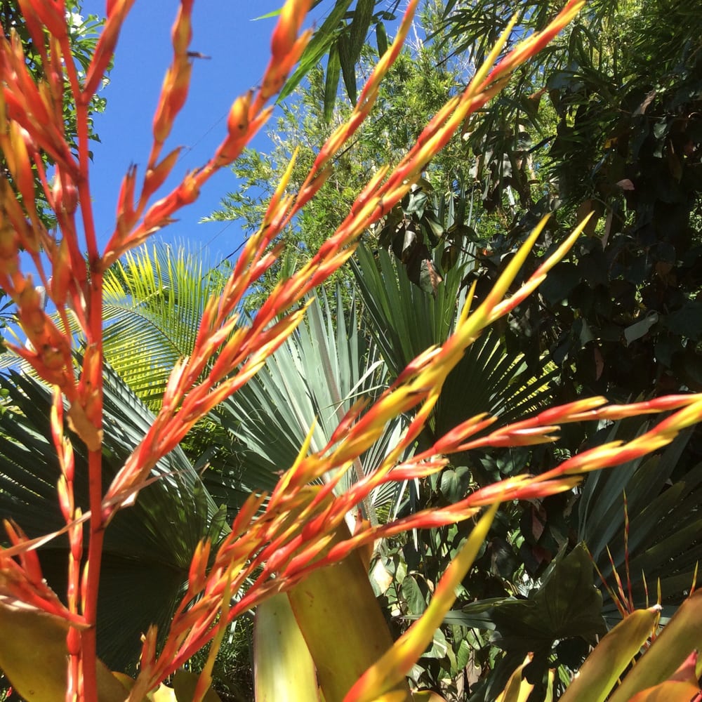 East Las Olas Psychological Group - grief counselor in Fort Lauderdale, FL