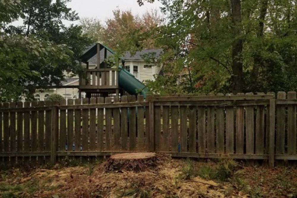 Axemen Tree Service - tree service in Woodstock, GA