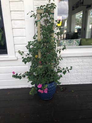 The Left Bank Bistro by null