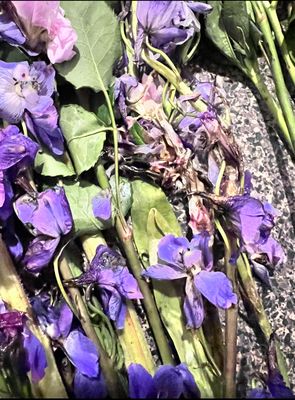 ProFlowers by null