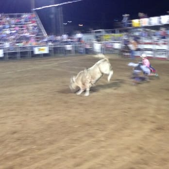 Brown County Rodeo - Bull on the loose after a tough ride! - Rodeo Near Me - Brownwood, Texas Brown County Rodeo - Bull on the loose after a tough ride! - Rodeo Near Me - Brownwood, Texas