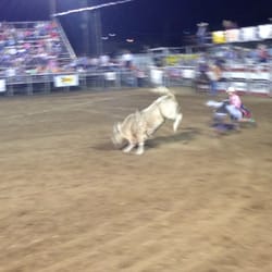 Brown County Rodeo - Bull on the loose after a tough ride!