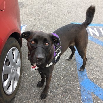 Camp Pendleton Commissary - My service dog - Grocery Near Me - Camp Pendleton North, California