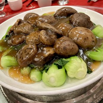 Royal Queen Restaurant - Baby bok toy, covered with large Shitaki mushrooms - Dim Sum Near Me - Flushing, New York Royal Queen Restaurant - Baby bok toy, covered with large Shitaki mushrooms - Dim Sum Near Me - Flushing, New York