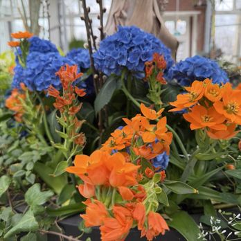 Allan Gardens - Parks Near Me - Toronto, Ontario