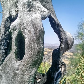 Henry W Coe State Park - Parks Near Me - Morgan Hill, California Henry W Coe State Park - Parks Near Me - Morgan Hill, California