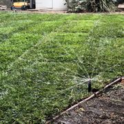 Photo of All Green Scape - San Jose, CA, United States