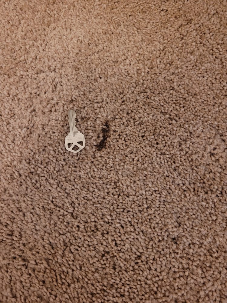 PINK’S CARPET CLEANING Updated October 2024 115 Photos 635 W