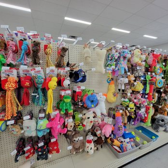Pets Plus - Toys - Pet Stores Near Me - Escondido, California Pets Plus - Toys - Pet Stores Near Me - Escondido, California