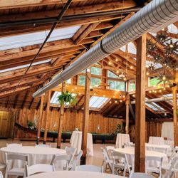 Kiana Lodge - Garden Atrium interior from my table (4/6/25)