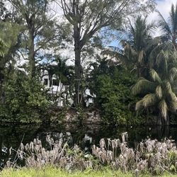 Breezeswept Park