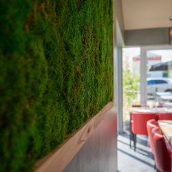 O'Melting - J'adore ce mur végétal !