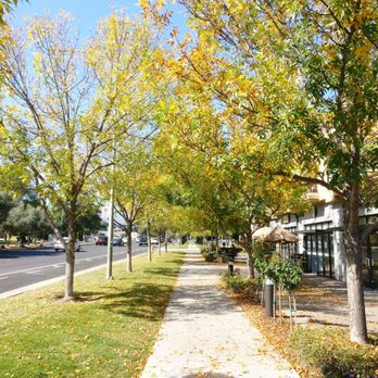 Cafe LaTTea - Outside - Cafes Near Me - Cupertino, California Cafe LaTTea - Outside - Cafes Near Me - Cupertino, California