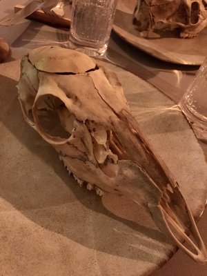 Honey Badger by null Honey Badger by null